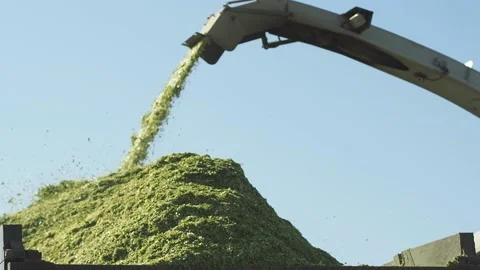 Harvesting from the field using machines Video stock 130827873