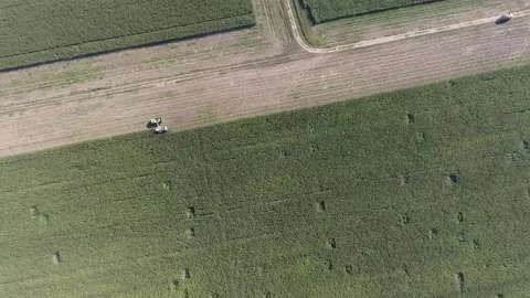 Harvesting from the field using machines Stock-Footage 130830582