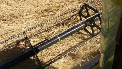 Harvesting the Fields - Close Up Video stock 287747126