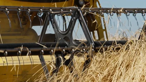 Harvesting the Fields - Close Up Video stock 287747166