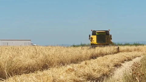 Harvesting the Fields: A Distant View 스톡 동영상 287747399