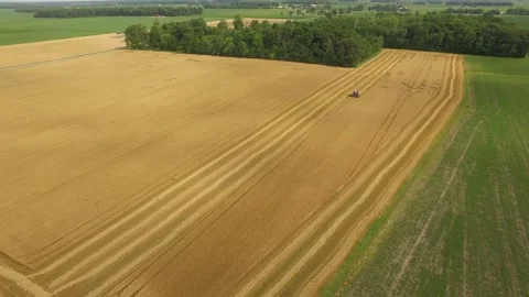 Harvesting Fields Drone Flyover Stock Footage 329613269