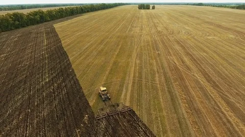 Harvesting fields in early autumn. Work of agricultural machinery. Stock-Footage 80900626