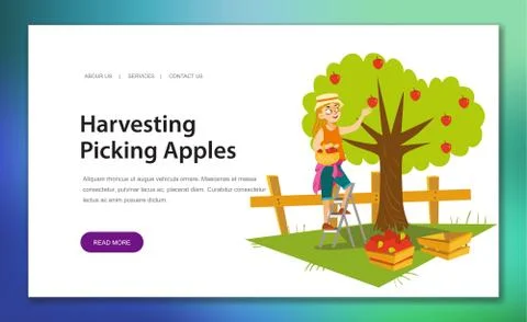Harvesting flat poster Stock Illustration