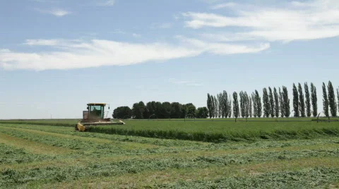 Harvesting Stock Footage 509909