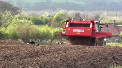 Harvesting Video stock 8660630