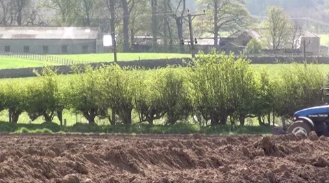 Harvesting Video stock 8661000