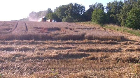 Harvesting. Stock Footage 32735298