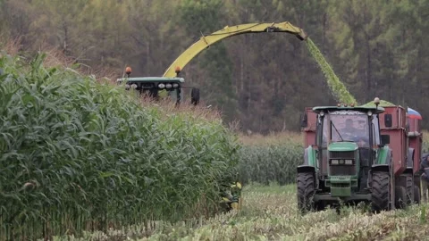 Harvesting Stock Footage 145800480