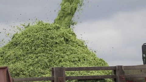 Harvesting Stock Footage 145800483