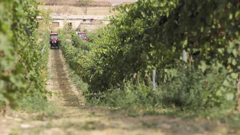 Harvesting Stock Footage 242064339