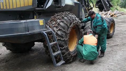 Harvesting with forest machinery Stock Footage 100646830