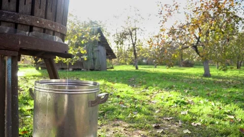 Harvesting fruit juice at home using into a metal tank old method. Beautiful Stock Footage 167660510
