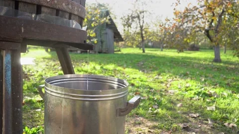 Harvesting fruit juice at home using into a metal tank old method. Beautiful Stock Footage 167701617