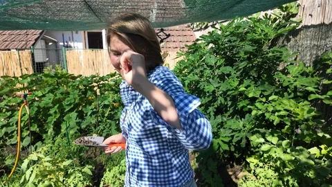 Harvesting in Garden Stock Footage 312945555