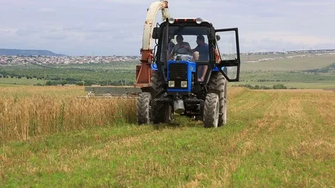 Harvesting grain on the field Stock Footage 80048211