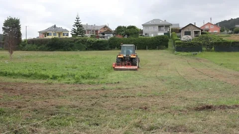 Harvesting green, tractor in action on the fields Stock Footage 259521435