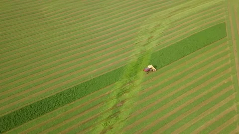 Harvesting hay in the midwest Video stock 162964320