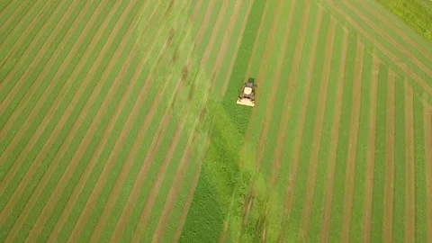 Harvesting hay in the midwest Video stock 162964339