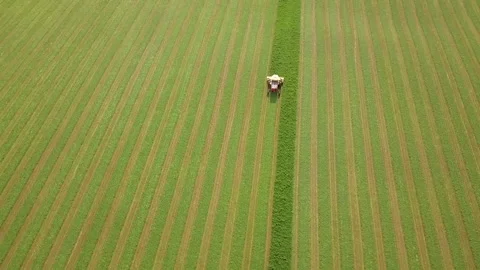Harvesting hay in the midwest Video stock 162964545