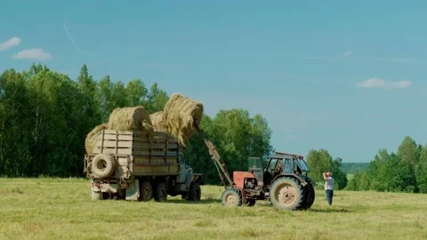 Harvesting hay. Tractor loading hay bales on a trailer. Stock Footage 150885386