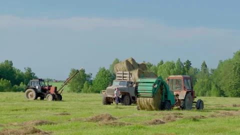 Harvesting hay. Tractor loading hay bales on a trailer. Stock Footage 151046450