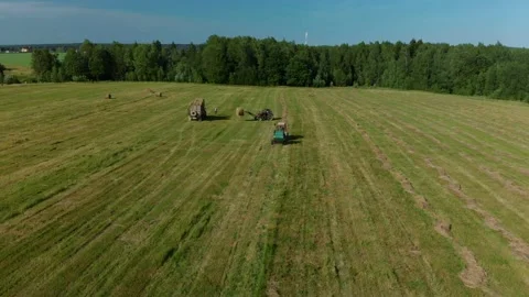Harvesting hay. Tractor loading hay bales on a trailer. Stock Footage 151135142