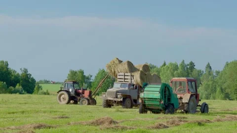 Harvesting hay. Tractor loading hay bales on a trailer. Vídeo Stock 151135272