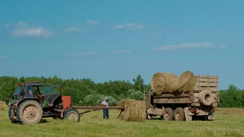 Harvesting hay. Tractor loading hay bales on a trailer. Stock Footage 153199446