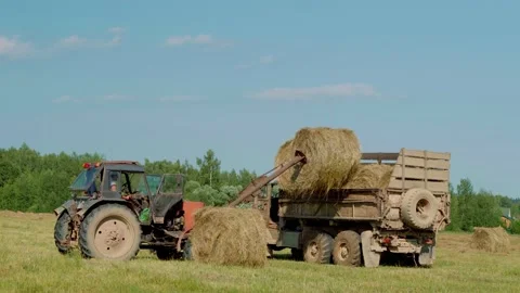 Harvesting hay. Tractor loading hay bales on a trailer. Vídeo Stock 162468689