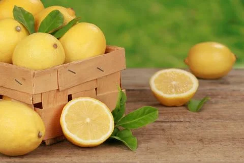 Harvesting lemons Stock Photos