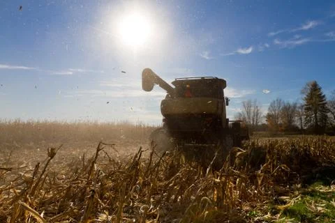 Harvesting machine in action Stock Photos