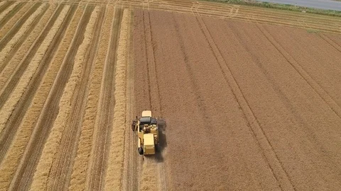 Harvesting machine in a field Stock Footage 122271857