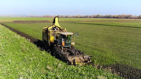 Harvesting Machine in Field Vídeos de archivo 341266143