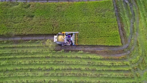 Harvesting machine Stock Footage 209161256