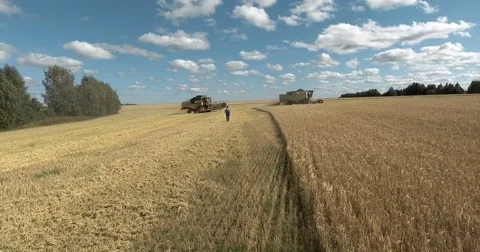 A harvesting machine on a large field Stock Footage 71070034
