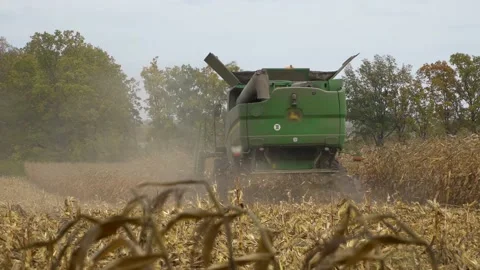 Harvesting machine working in the field. Combine harvester agricultural machine Stock Footage 220806506