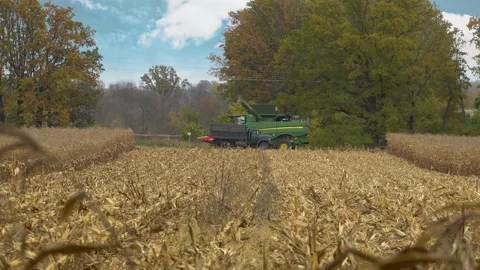 Harvesting machine working in the field. Combine harvester agricultural machine 스톡 동영상 220807002