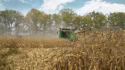 Harvesting machine working in the field. Combine harvester agricultural machine Stock Footage 220807352