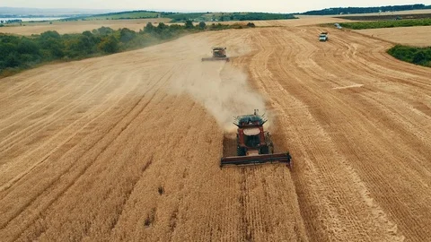Harvesting machine working in the field. Top view from the drone 4k 스톡 동영상 111518547
