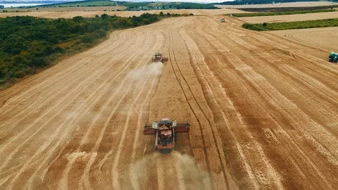 Harvesting machine working in the field. Top view from the drone 4k Видео 111518549
