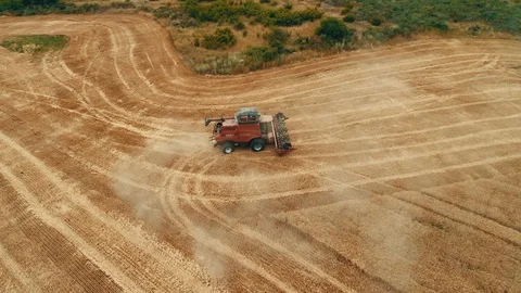 Harvesting machine working in the field. Top view from the drone 4k Stockbeeldmateriaal 111518550