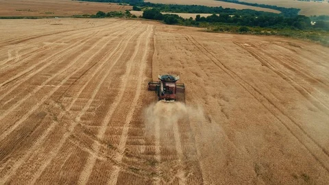 Harvesting machine working in the field. Top view from the drone 4k Stock Footage 111518551