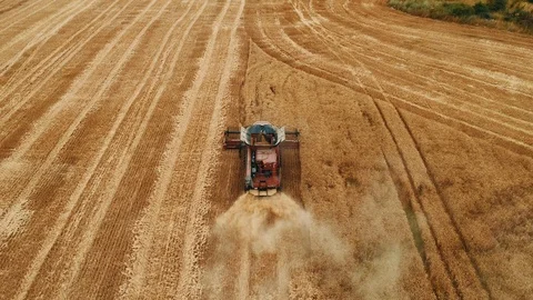Harvesting machine working in the field. Top view from the drone 4k 動画素材 111518555