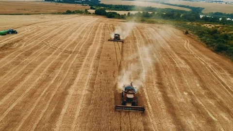 Harvesting machine working in the field. Top view from the drone 4k Vídeo Stock 111518653