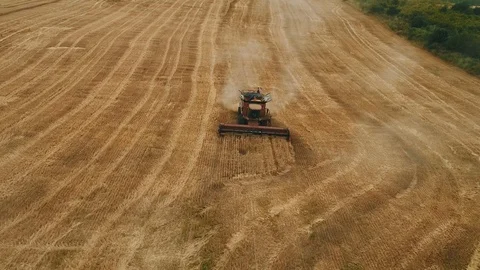 Harvesting machine working in the field. Top view from the drone 4k Видео 111518680