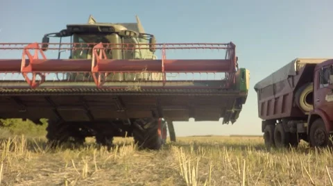 Harvesting machines. Stock-Footage 65076329