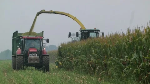 Harvesting the maize crop with an agricultural thresher Stock Footage 59089809