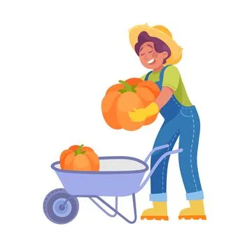 Harvesting Man Character in Hat Put Pumpkin in Wheelbarrow Vector Illustration Stock Illustration