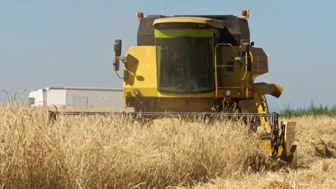 Harvesting in Motion Video stock 287747099